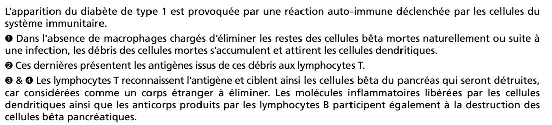 diabete intervention immunitaire